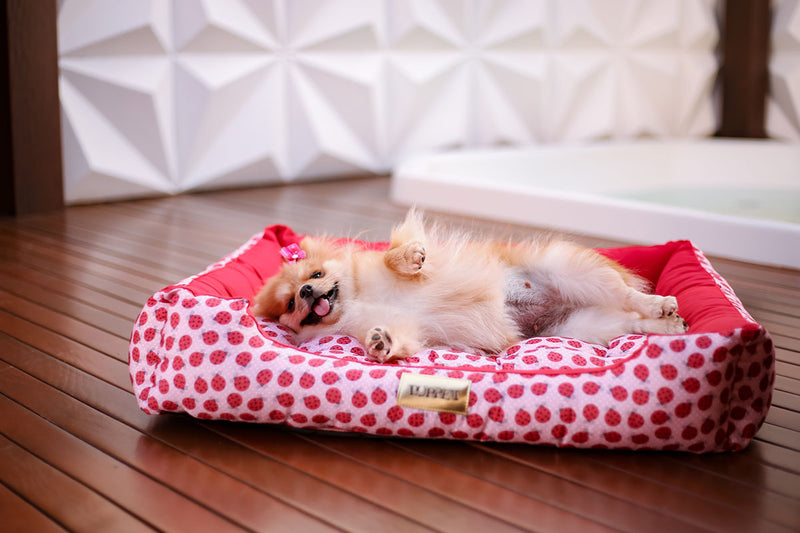 Cama Retangular para Cachorro ou Gato Luppet Luxo Vermelho Joaninhas