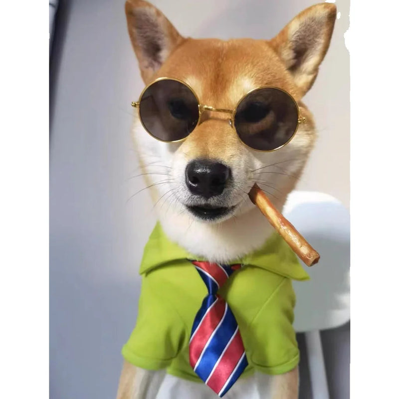 Gravata Social Estampada ajustável para Pet Cães cachorro Banho e Tosa