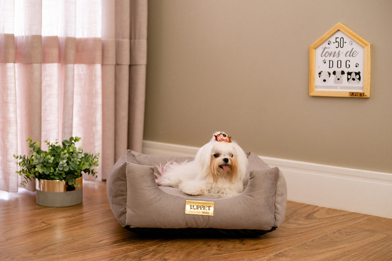 Cama Quadrada para Cachorro ou Gatos Super Luxo Luppet Cinza Tamanho:M